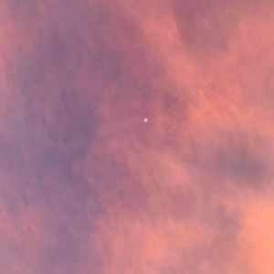 Meet your Posher, Tania